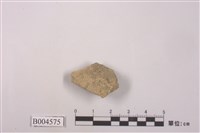 藏品(殼狀地衣 )的圖片